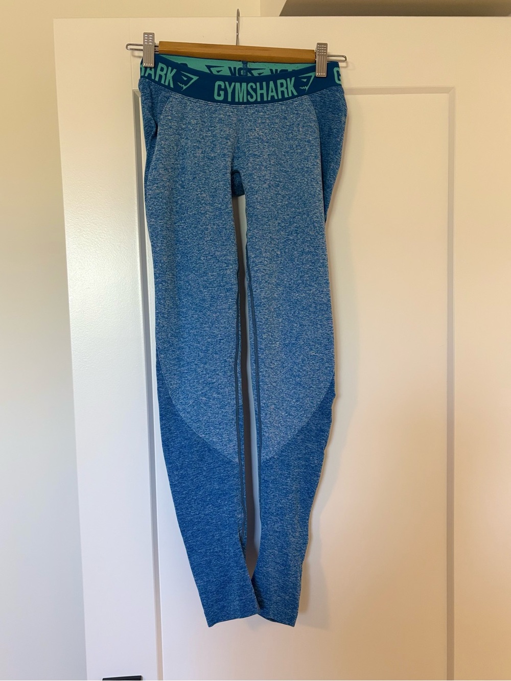 Gymshark Teal & Blue Seamless Leggings